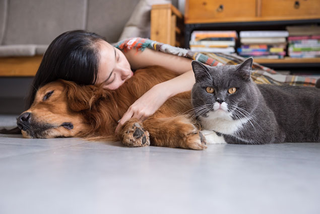 indoor air quality in NY, PA, CT, MA, RI, & VT